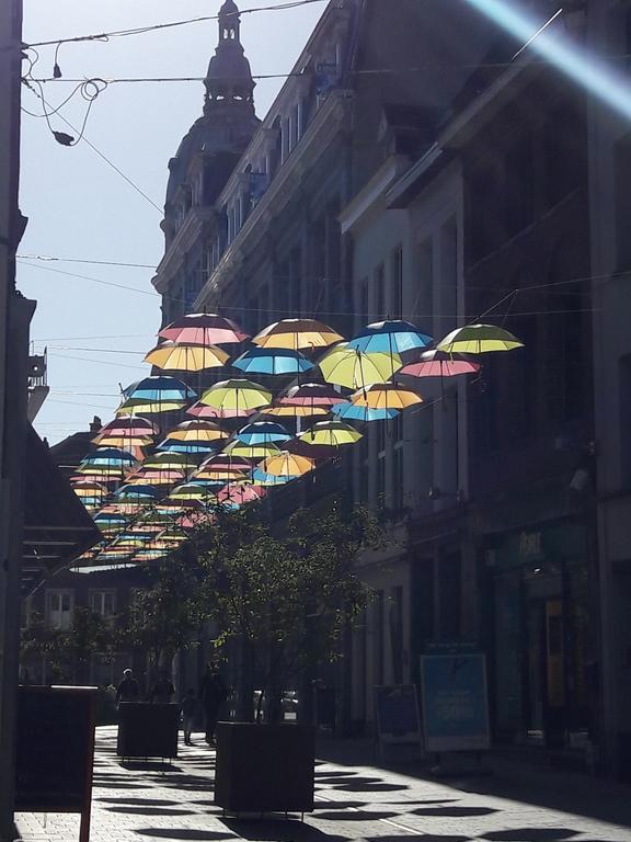 Lille Centre Ville, Beaux Arts Et Grand Palais, Bienvenue Chez Nestyou Лил Екстериор снимка
