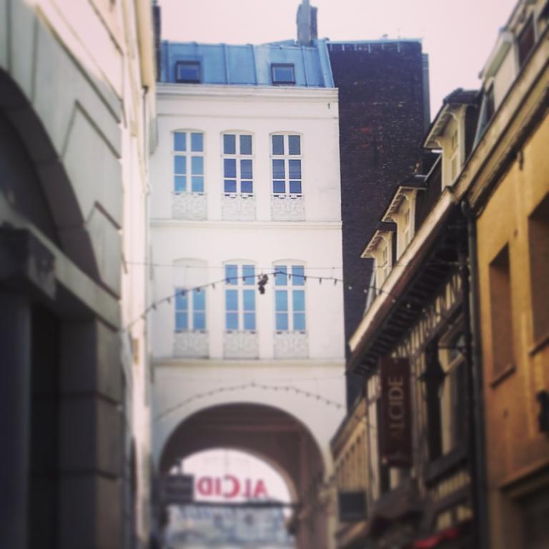 Lille Centre Ville, Beaux Arts Et Grand Palais, Bienvenue Chez Nestyou Лил Екстериор снимка